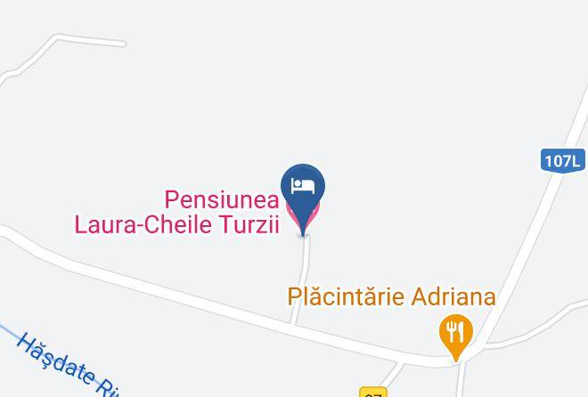 Petrestii De Jos - Pension Laura Turzii Maps