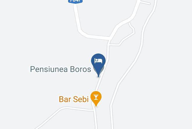 Finis - Pensiunea Boros Maps