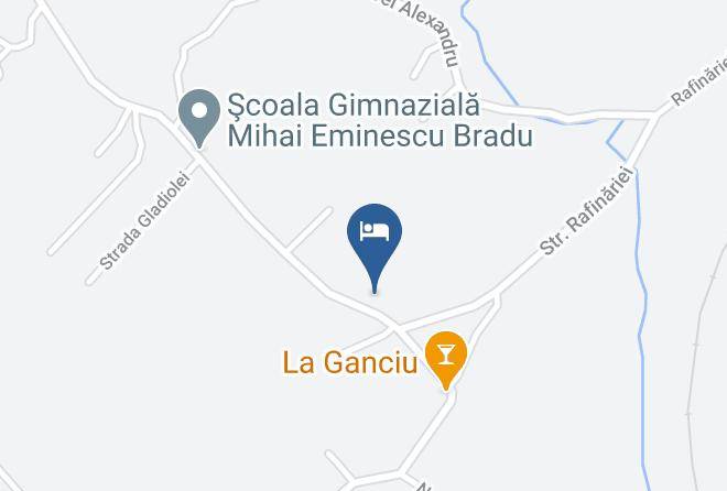 Bradu - Pensiunea Bradului Maps