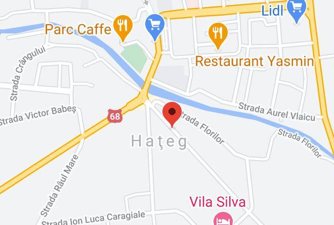 Hateg - Pensiunea Bunea Maps