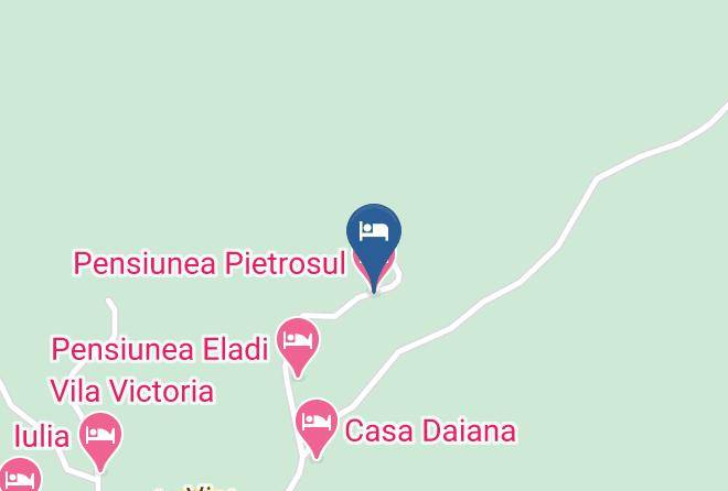 Borsa - Pensiunea Pietrosul Maps