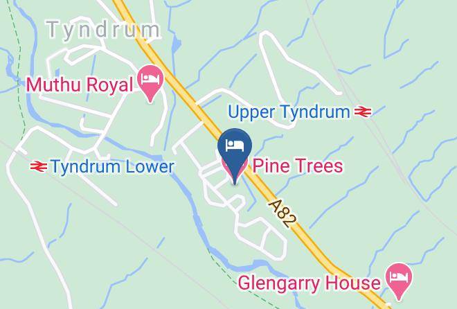 Stirling - Pine Trees Maps