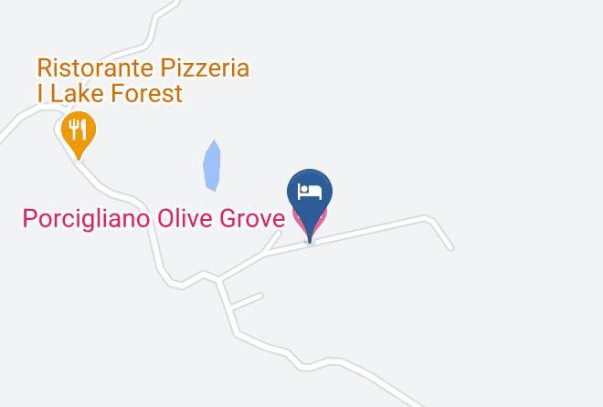Florence - Porcigliano Olive Grove Maps