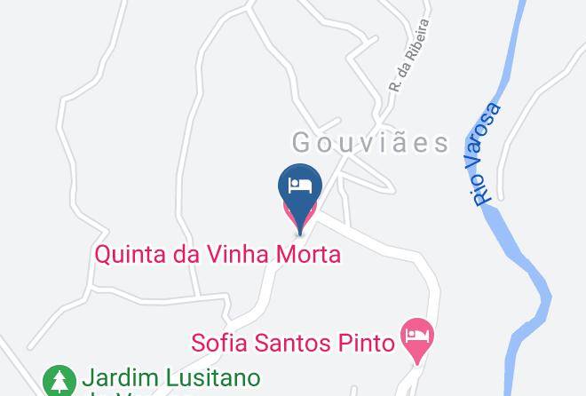 Tarouca - Quinta Da Vinha Morta Maps