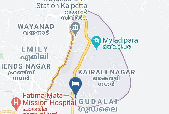 Kalpetta - Royal Palm Resort Maps