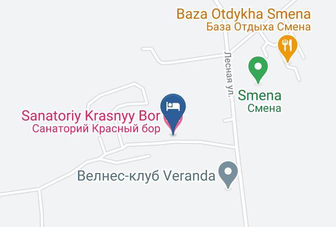 Krasnyy Bor - Sanatoriy Krasnyy Bor Maps