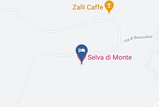 Florence - Selva Di Monte Maps