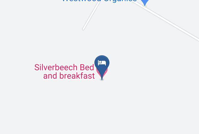 Selwyn - Silverbeech Bed And Breakfast Maps