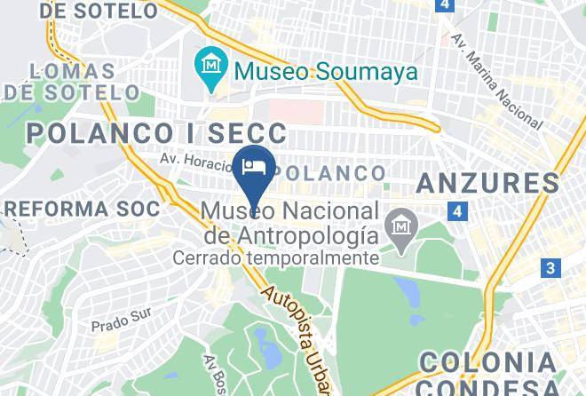 Miguel Hidalgo - Suites Masliah Maps