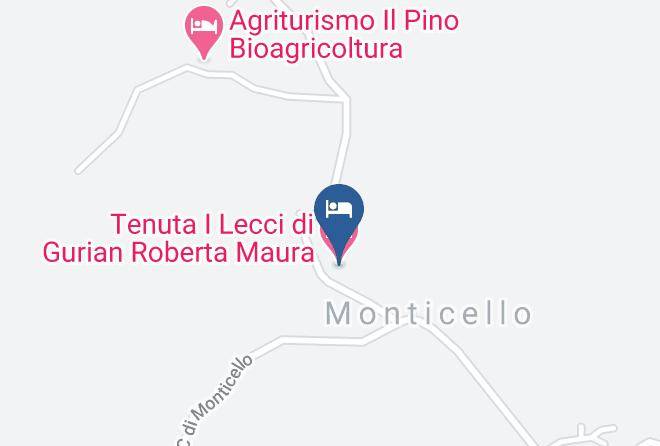 Arezzo - Tenuta I Lecci Di Gurian Roberta Maura Maps
