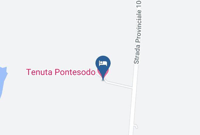 Viterbo - Tenuta Pontesodo Maps