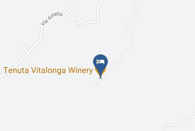 Terni - Tenuta Vitalonga Winery Maps