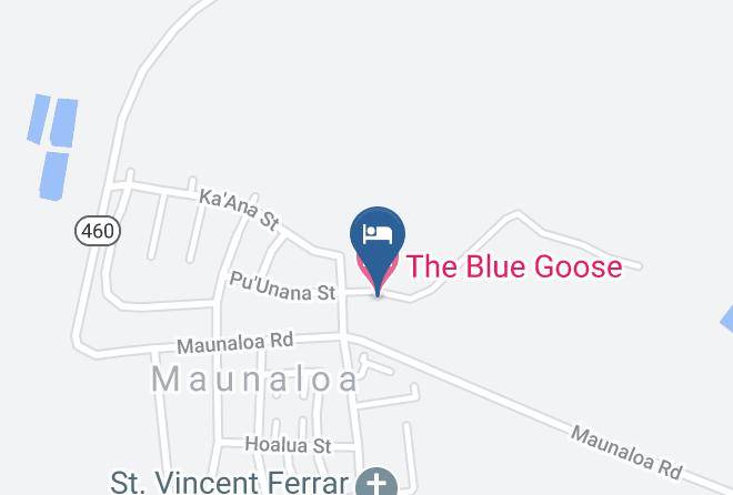 Maui - The Blue Goose Maps