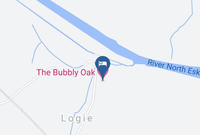 Angus - The Bubbly Oak Maps