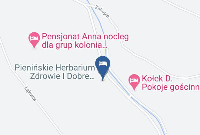 Nowotarski - The Settlement Of The Potocki Babienskim Maps
