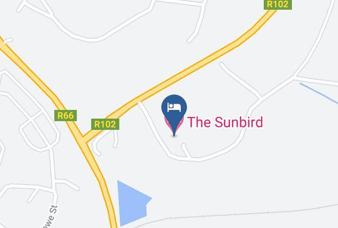 King Cetshwayo - The Sunbird Maps