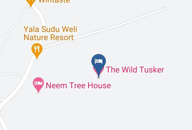 Galle - The Wild Tusker Maps