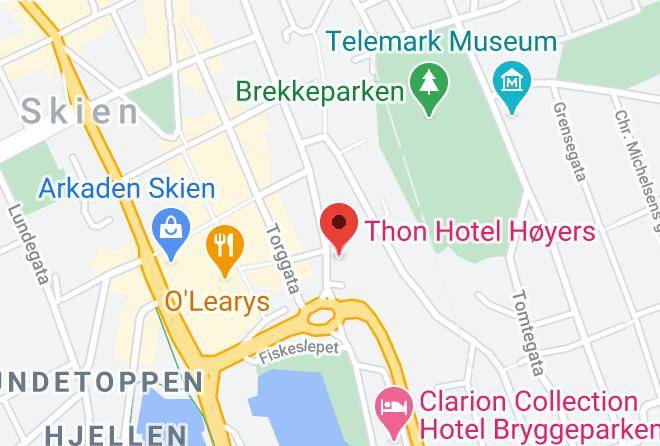 Skien - Thon Hotel Hoyers Maps