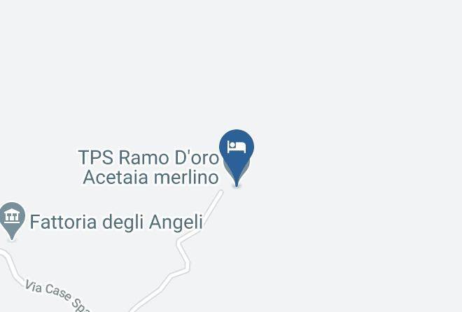 Asti - T P S Ramo D'oro Acetaia Merlino Maps