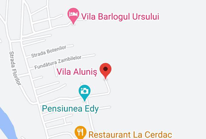 Busteni - Vila Alunis Maps
