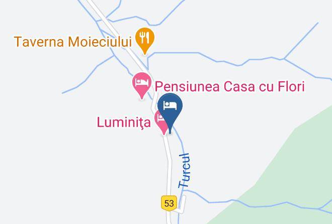 Moieciu - Vila Anelisse Maps