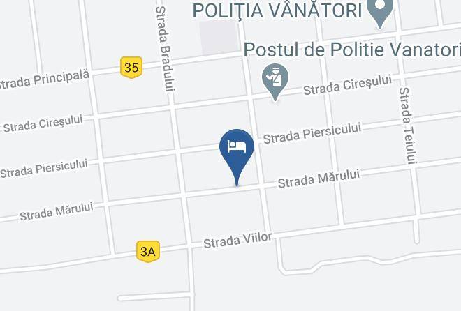 Vinatori - Vila Camelia Maps