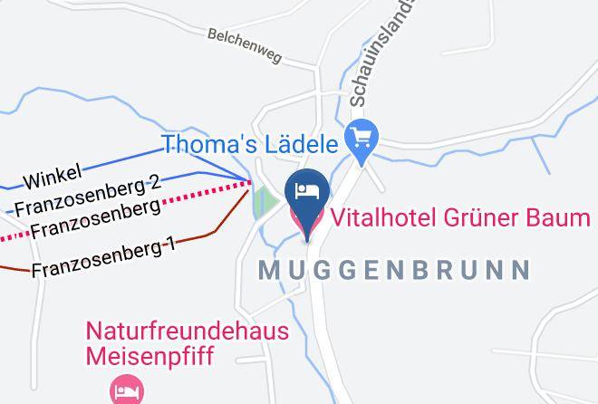 Lorrach - Vitalhotel Gruner Baum Maps