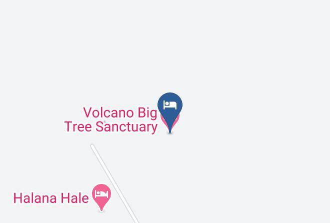 Hawaii - Volcano Big Tree Sanctuary Maps