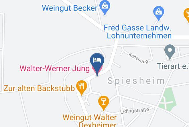 Alzey Worms - Walter Werner Jung Maps