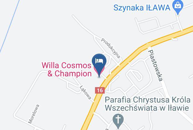 Willa Cosmos & Champion Map